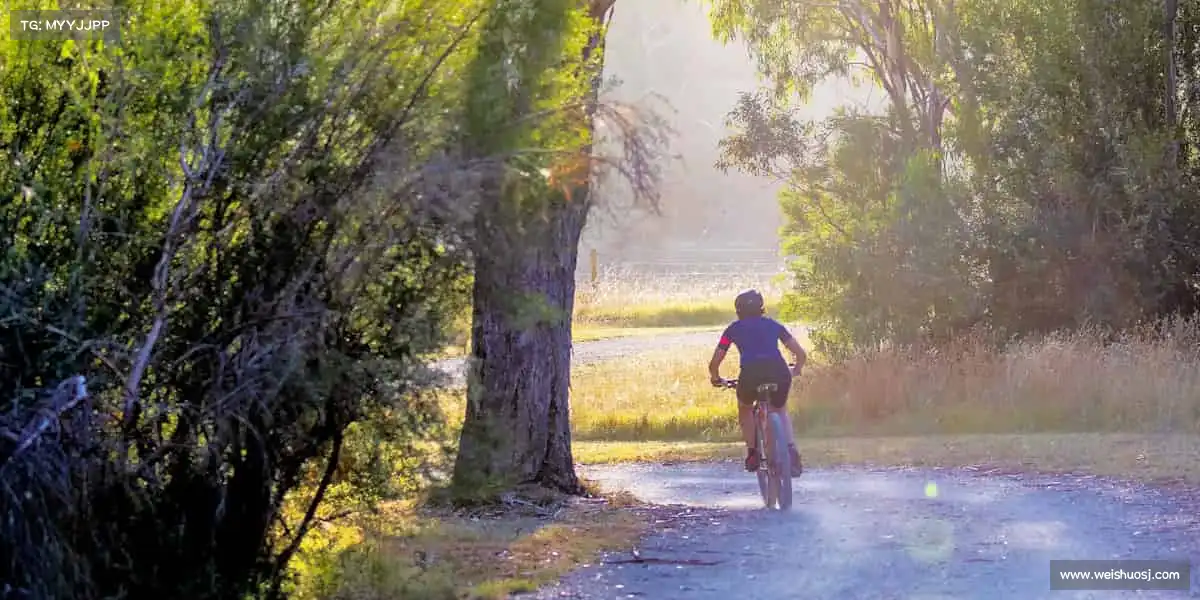 我们的核心竞争力